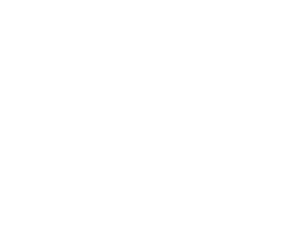 Metis