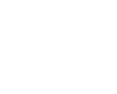 Solution One Industries, Inc.